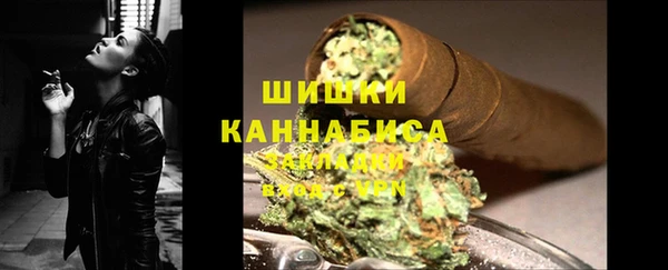 PSILOCYBIN Баксан