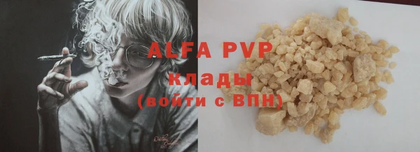PSILOCYBIN Баксан