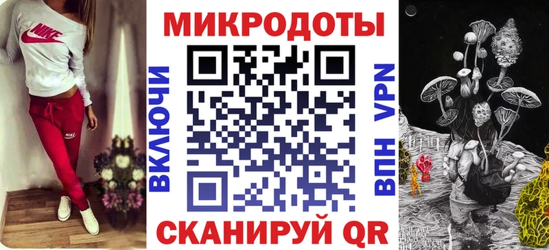 дарнет шоп  Новомичуринск  shop как зайти  Псилоцибиновые грибы мицелий 